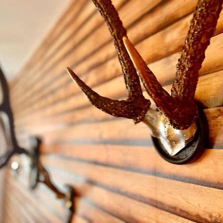 Homelikestay: Ferienwohnungen - Wernigerode - Wlan - Bestlage - Liebevolle Einrichtung 外观 照片