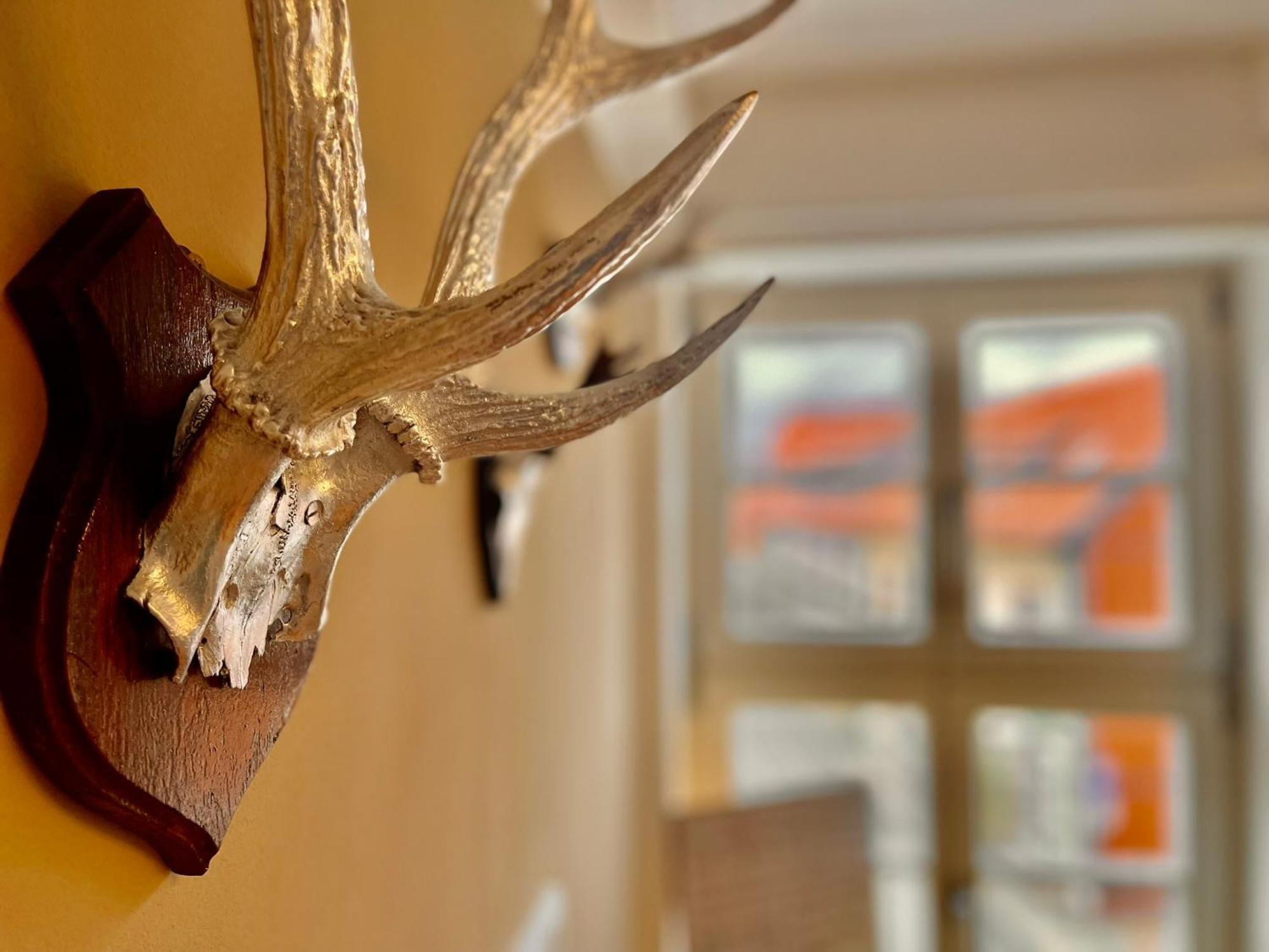 Homelikestay: Ferienwohnungen - Wernigerode - Wlan - Bestlage - Liebevolle Einrichtung 外观 照片
